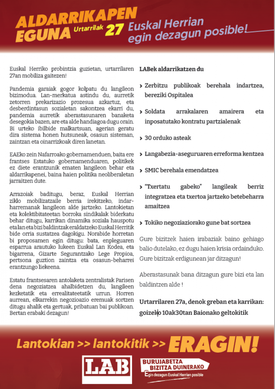 irudia