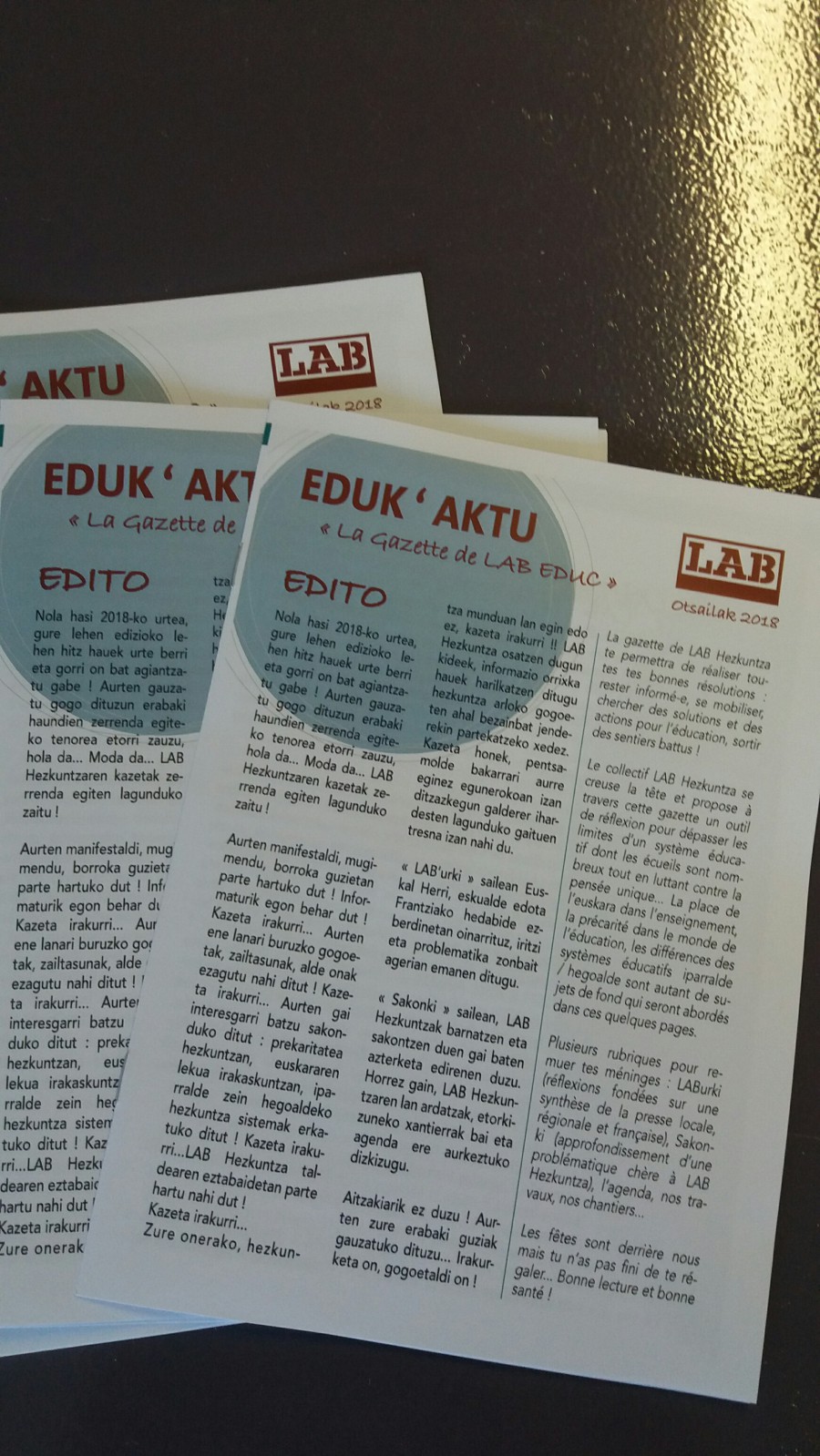 irudia